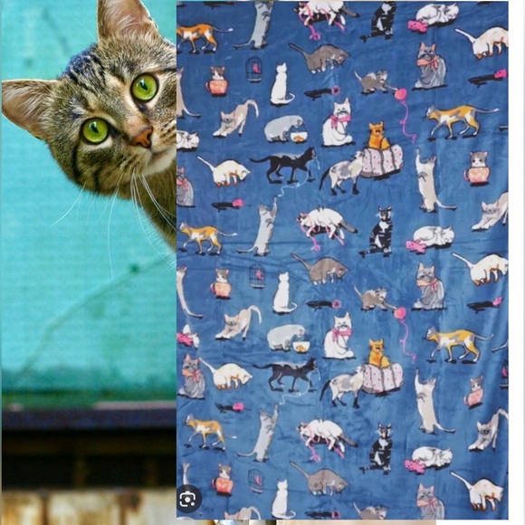 Vera Bradley Bedding Vera Bradley Cats Meow Throw Blanket In Sealed